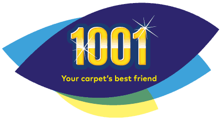 1001 logo