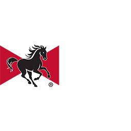 Power Horse Energy Drinks GmbH logo