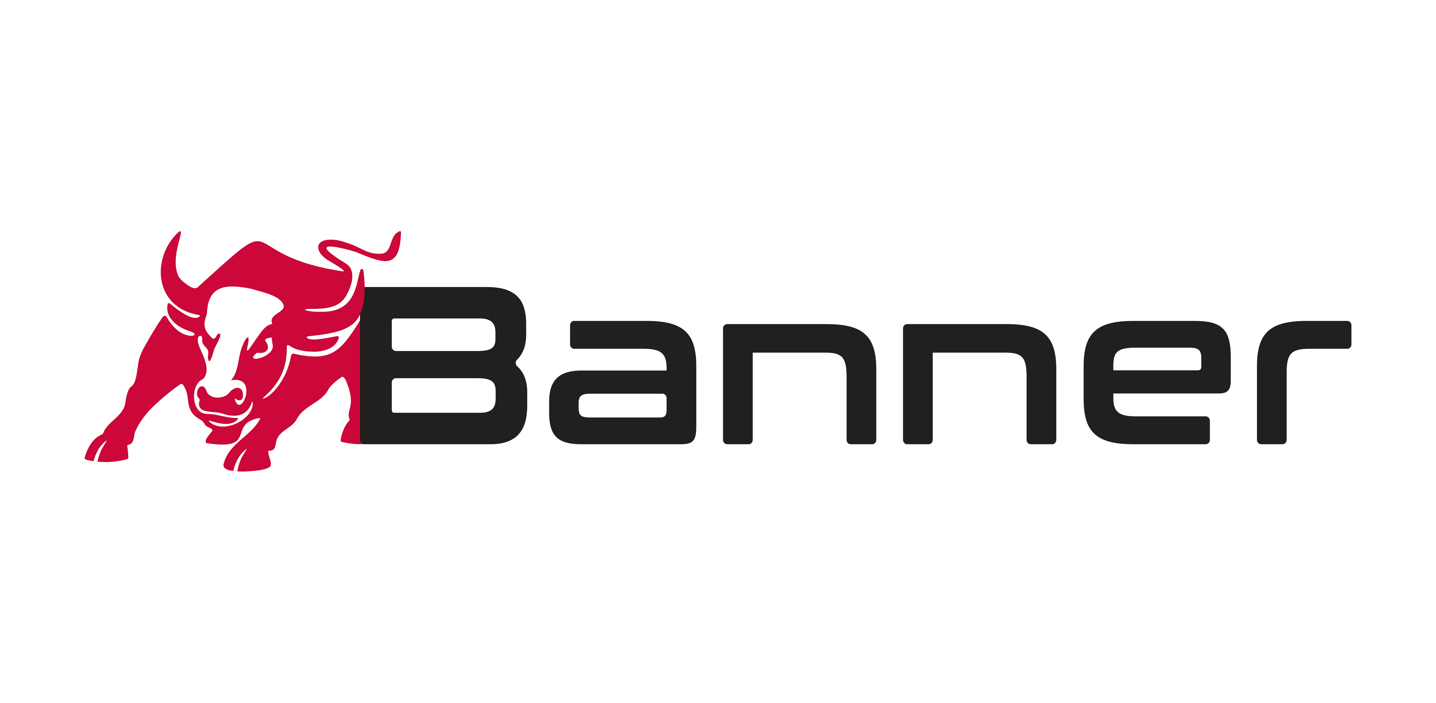 Banner Batterien logo