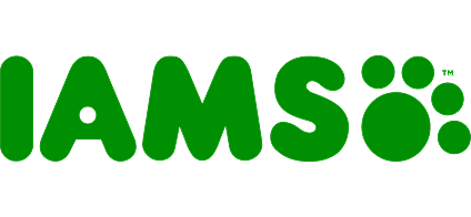 Iams Dry Dog Food