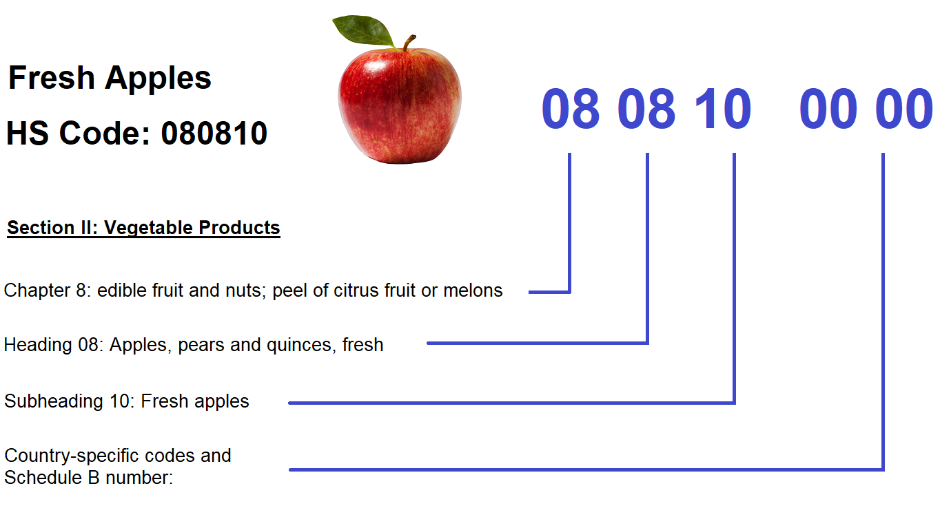 Understanding HS Codes and the Schedule B Wholesale Managers