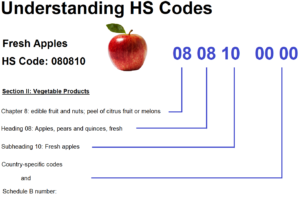 Understanding HS Codes and the Schedule B